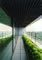 Balcony greenery (9th to 31st floors)